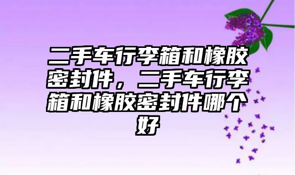 二手車行李箱和橡膠密封件，二手車行李箱和橡膠密封件哪個(gè)好