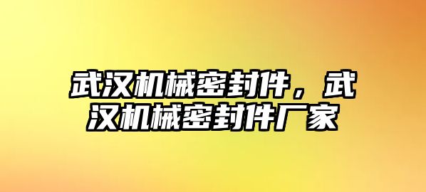 武漢機械密封件，武漢機械密封件廠家