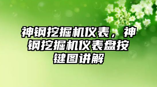 神鋼挖掘機儀表，神鋼挖掘機儀表盤按鍵圖講解