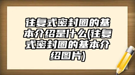 往復(fù)式密封圈的基本介紹是什么(往復(fù)式密封圈的基本介紹圖片)