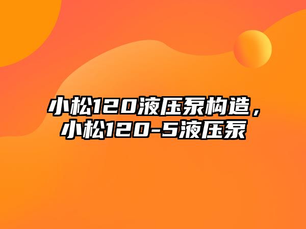 小松120液壓泵構(gòu)造，小松120-5液壓泵