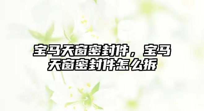 寶馬天窗密封件，寶馬天窗密封件怎么拆