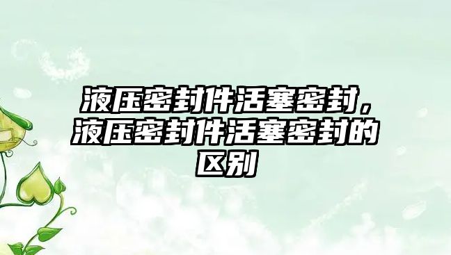 液壓密封件活塞密封，液壓密封件活塞密封的區(qū)別