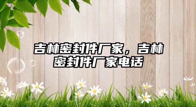 吉林密封件廠家，吉林密封件廠家電話