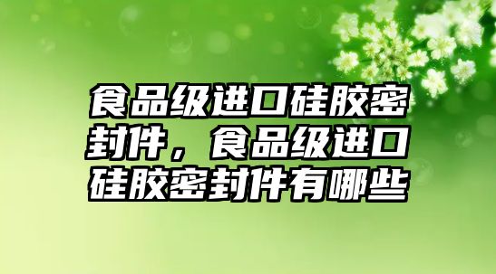 食品級進口硅膠密封件，食品級進口硅膠密封件有哪些