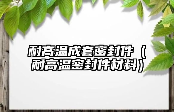 耐高溫成套密封件（耐高溫密封件材料）