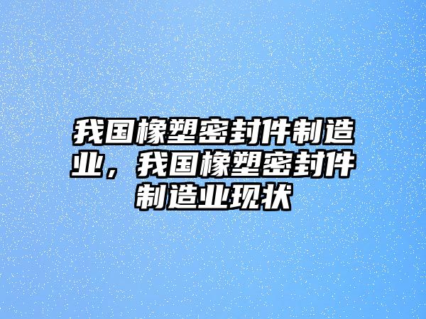 我國(guó)橡塑密封件制造業(yè)，我國(guó)橡塑密封件制造業(yè)現(xiàn)狀