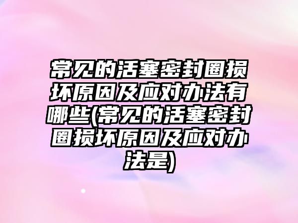 常見的活塞密封圈損壞原因及應對辦法有哪些(常見的活塞密封圈損壞原因及應對辦法是)