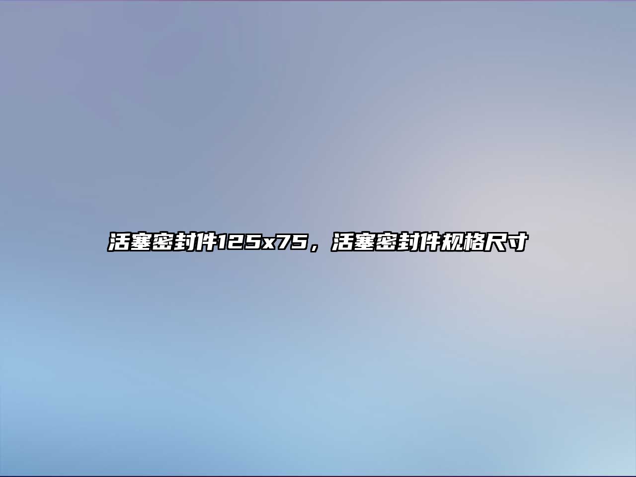 活塞密封件125x75，活塞密封件規(guī)格尺寸