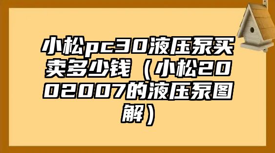 小松pc30液壓泵買賣多少錢（小松2002007的液壓泵圖解）