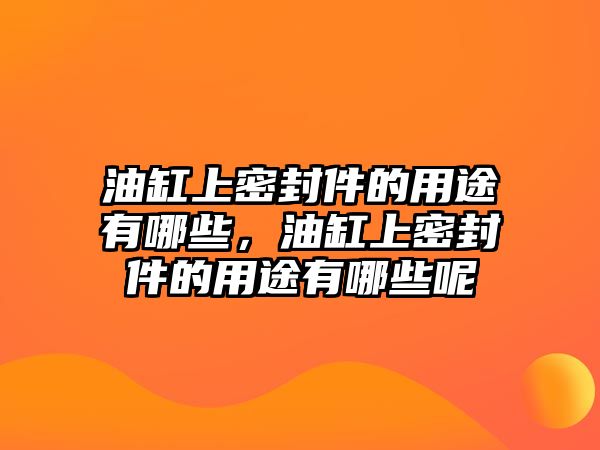 油缸上密封件的用途有哪些，油缸上密封件的用途有哪些呢