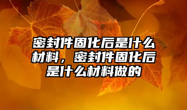 密封件固化后是什么材料，密封件固化后是什么材料做的