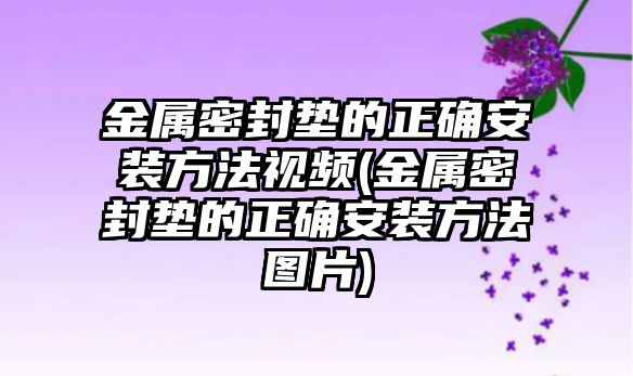 金屬密封墊的正確安裝方法視頻(金屬密封墊的正確安裝方法圖片)