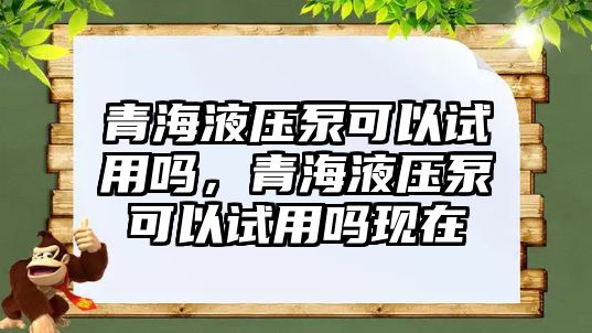 青海液壓泵可以試用嗎，青海液壓泵可以試用嗎現(xiàn)在