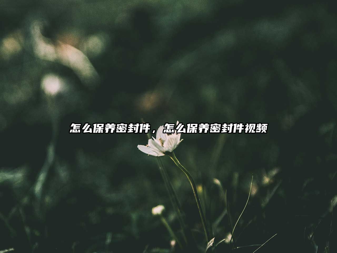 怎么保養(yǎng)密封件，怎么保養(yǎng)密封件視頻