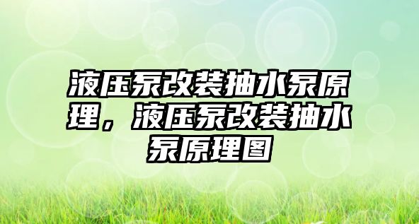 液壓泵改裝抽水泵原理，液壓泵改裝抽水泵原理圖