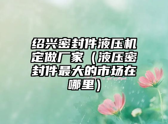 紹興密封件液壓機定做廠家（液壓密封件最大的市場在哪里）