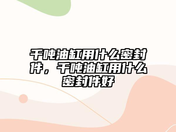 千噸油缸用什么密封件，千噸油缸用什么密封件好