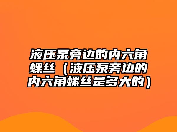 液壓泵旁邊的內(nèi)六角螺絲（液壓泵旁邊的內(nèi)六角螺絲是多大的）