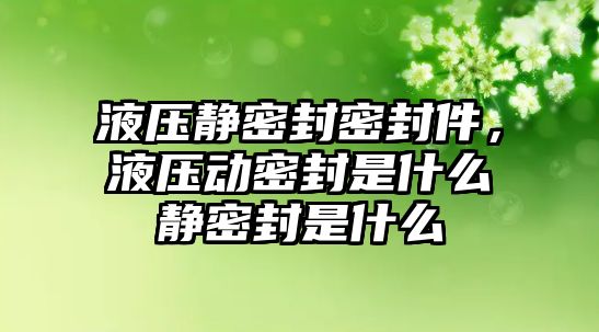 液壓靜密封密封件，液壓動密封是什么靜密封是什么