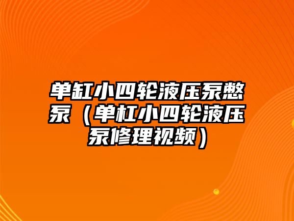 單缸小四輪液壓泵憋泵（單杠小四輪液壓泵修理視頻）