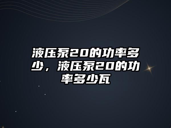 液壓泵20的功率多少，液壓泵20的功率多少瓦