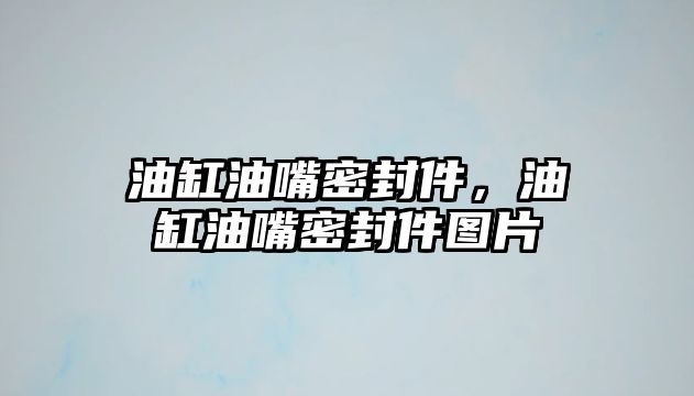 油缸油嘴密封件，油缸油嘴密封件圖片