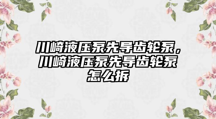 川崎液壓泵先導齒輪泵，川崎液壓泵先導齒輪泵怎么拆