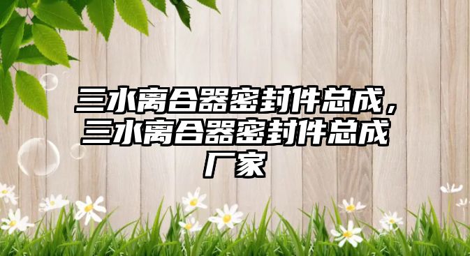 三水離合器密封件總成，三水離合器密封件總成廠(chǎng)家