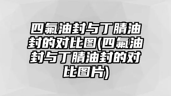 四氟油封與丁腈油封的對比圖(四氟油封與丁腈油封的對比圖片)