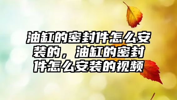 油缸的密封件怎么安裝的，油缸的密封件怎么安裝的視頻