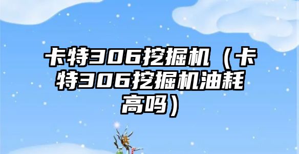 卡特306挖掘機（卡特306挖掘機油耗高嗎）