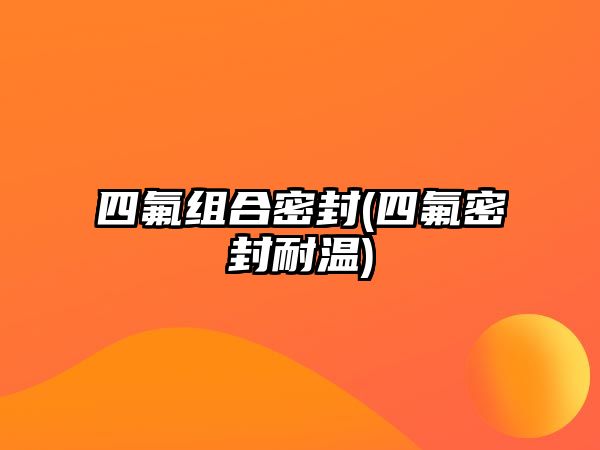 四氟組合密封(四氟密封耐溫)