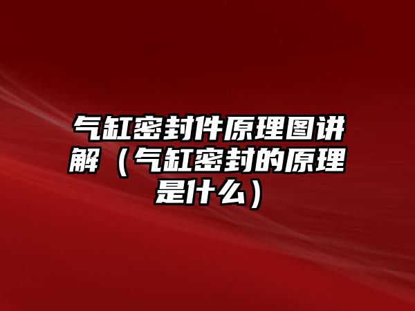 氣缸密封件原理圖講解（氣缸密封的原理是什么）