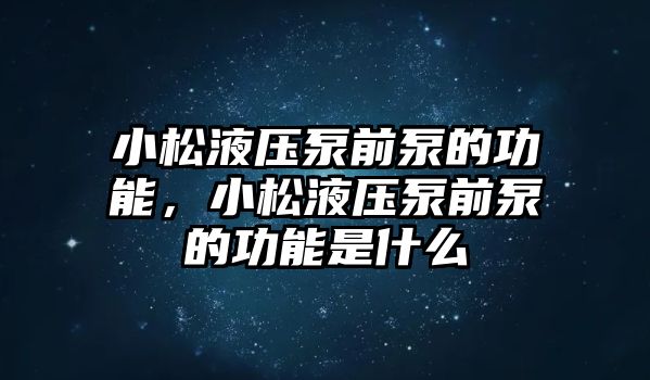 小松液壓泵前泵的功能，小松液壓泵前泵的功能是什么