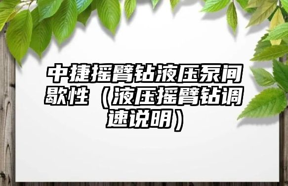 中捷搖臂鉆液壓泵間歇性（液壓搖臂鉆調(diào)速說明）