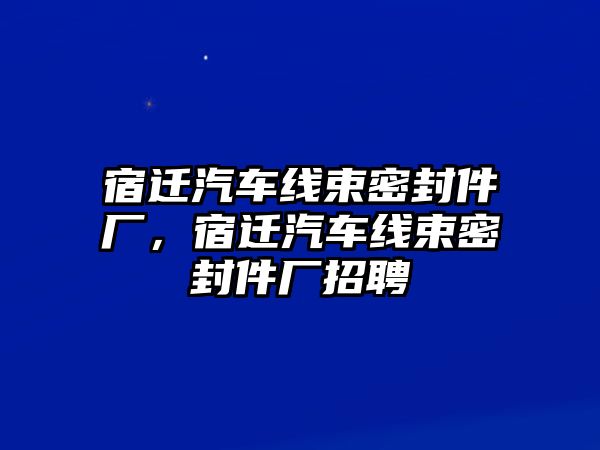 宿遷汽車線束密封件廠，宿遷汽車線束密封件廠招聘