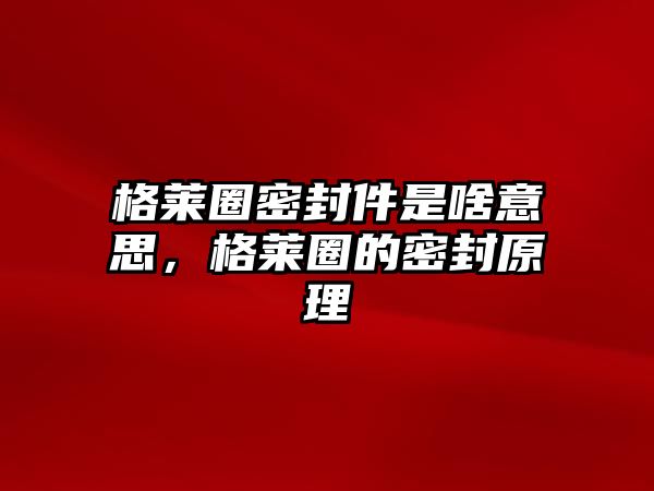 格萊圈密封件是啥意思，格萊圈的密封原理