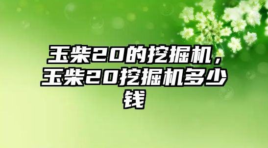 玉柴20的挖掘機，玉柴20挖掘機多少錢