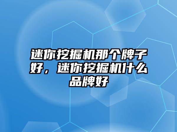 迷你挖掘機(jī)那個(gè)牌子好，迷你挖掘機(jī)什么品牌好