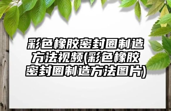 彩色橡膠密封圈制造方法視頻(彩色橡膠密封圈制造方法圖片)