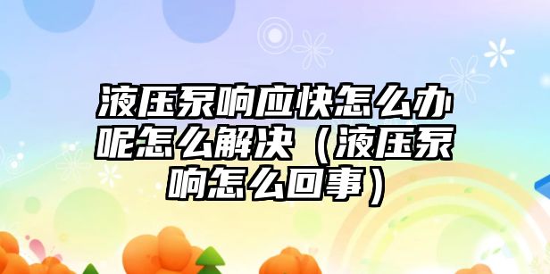 液壓泵響應快怎么辦呢怎么解決（液壓泵響怎么回事）