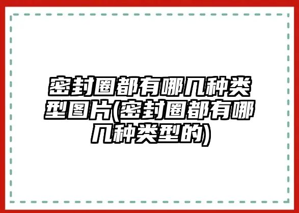 密封圈都有哪幾種類型圖片(密封圈都有哪幾種類型的)