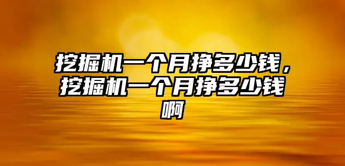 挖掘機一個月掙多少錢，挖掘機一個月掙多少錢啊