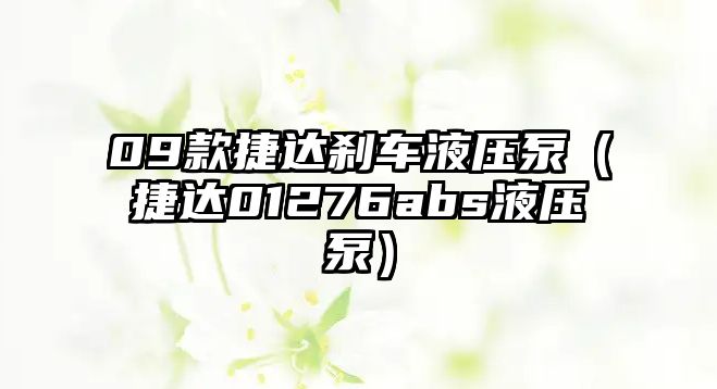 09款捷達(dá)剎車液壓泵（捷達(dá)01276abs液壓泵）