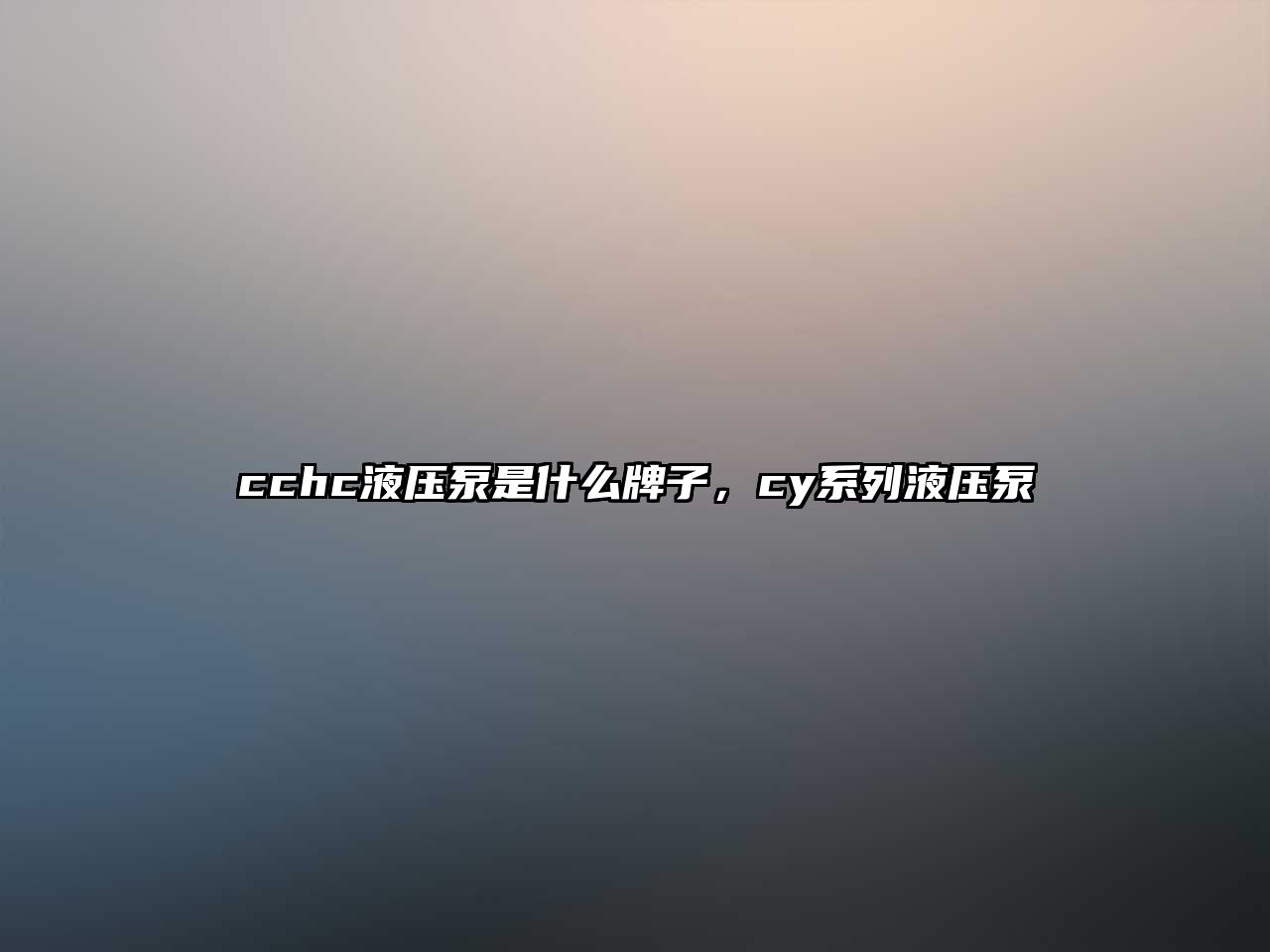 cchc液壓泵是什么牌子，cy系列液壓泵