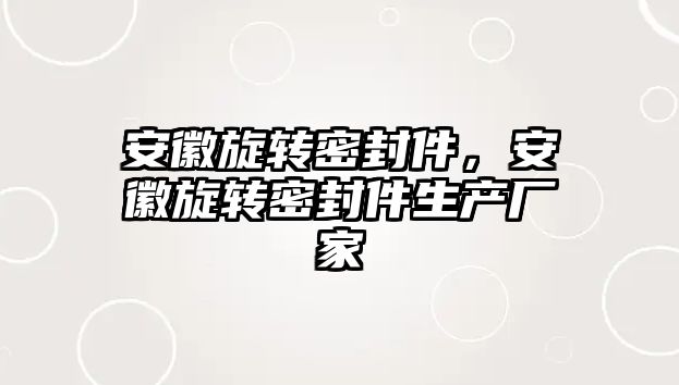 安徽旋轉(zhuǎn)密封件，安徽旋轉(zhuǎn)密封件生產(chǎn)廠家