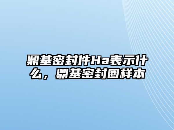 鼎基密封件Ha表示什么，鼎基密封圈樣本