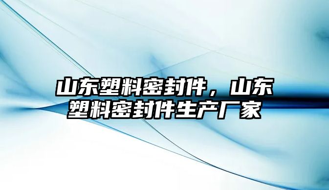 山東塑料密封件，山東塑料密封件生產(chǎn)廠家