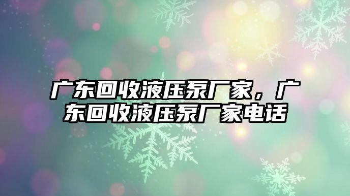 廣東回收液壓泵廠家，廣東回收液壓泵廠家電話